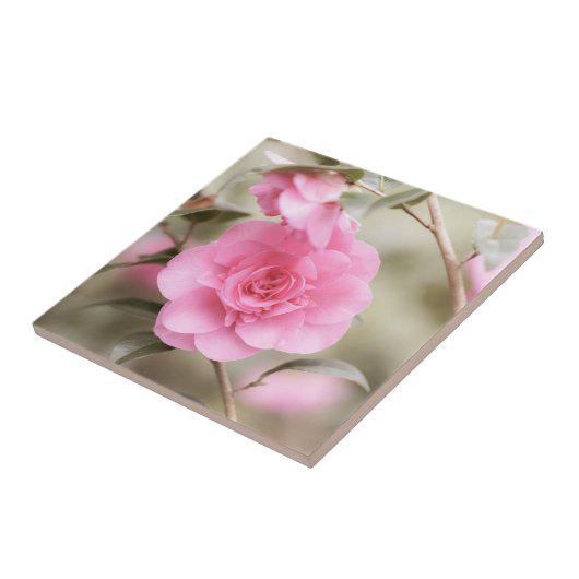 Carreau Fleur de Camellia rose doux (Côté)