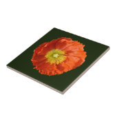 Carreau Fleur de cépages orange vif (Côté)