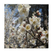 Carreau Fleur de cerisier blanc / Sakura / ク(桜) (Devant)