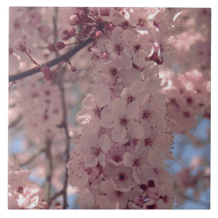 Carreau Fleur de cerisier Japon rose floral assez unique