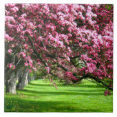 Carreau Fleur de cerisier Japon rose floral assez unique (Devant)