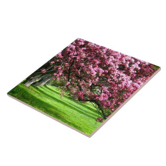 Carreau Fleur de cerisier Japon rose floral assez unique (Côté)