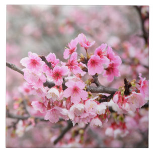 Carreau Fleur de cerisier Japon rose floral assez unique C