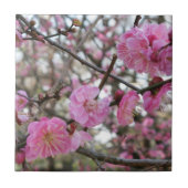 Carreau Fleur de cerisier rose / Sakura / ク(桜) (Devant)