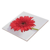 Carreau Fleur de Chrysanthème rouge orange (Côté)