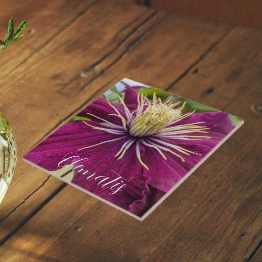 Carreau Fleur de Clématite Pourpre en Fleurs