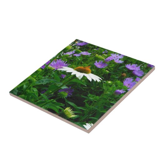 Carreau Fleur de cône blanc, fleurs pourpres et papillon (Côté)