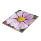 Carreau Fleur de Cosmos (bidens formosa) (Côté)