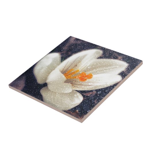 Carreau Fleur de crocus Rainy Day (Côté)