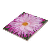 Carreau Fleur de Dahlia rose (Côté)