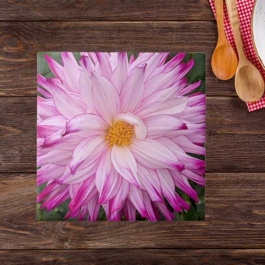 Carreau Fleur de Dahlia rose