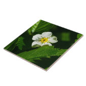 Carreau Fleur de fraises sauvages (Côté)