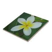 Carreau Fleur de Frangipani (Côté)