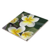 Carreau Fleur de frangipanier Îles Cook (Côté)