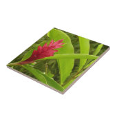 Carreau Fleur de gingembre rouge (Alpinia) tropicale (Côté)