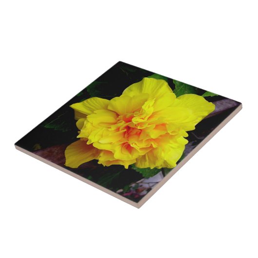 Carreau Fleur de grenade jaune (Côté)