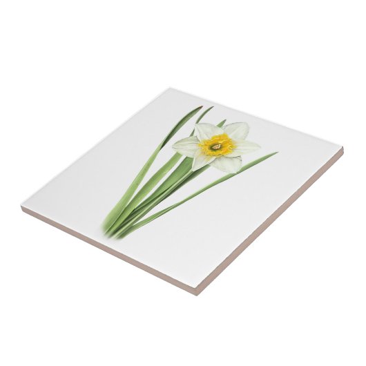 Carreau Fleur de jonquille (Côté)