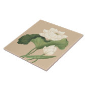 Carreau Fleur de Lotus de l'Art Botanique de l'Inde orient (Côté)