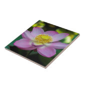 Carreau Fleur de lotus en fleurs, Indonésie (Côté)