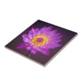 Carreau Fleur de Lotus pourpre (Côté)