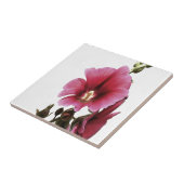 Carreau Fleur de Malva rose paradisiaque (Côté)