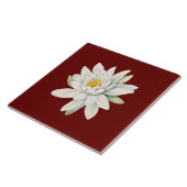 Carreau Fleur de nénuphar blanc (Côté)