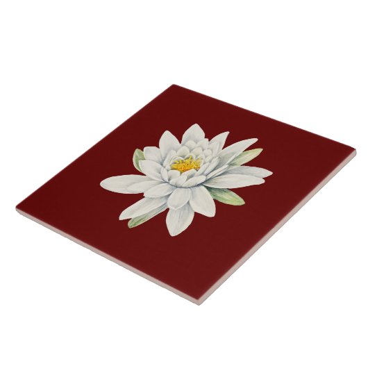 Carreau Fleur de nénuphar blanc (Côté)