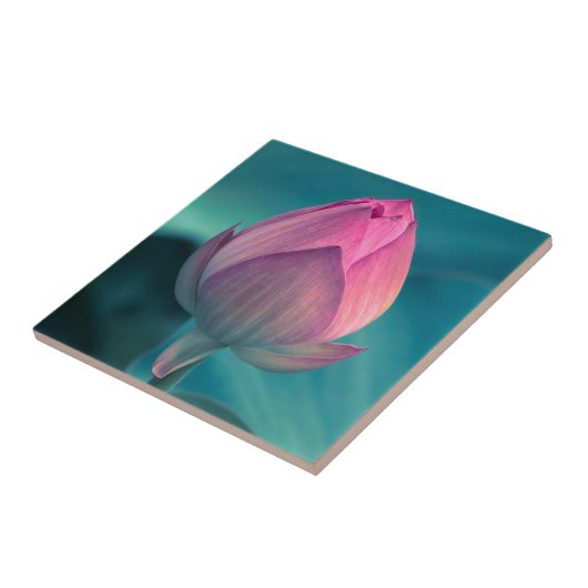 Carreau Fleur de nénuphar de Lotus (Côté)