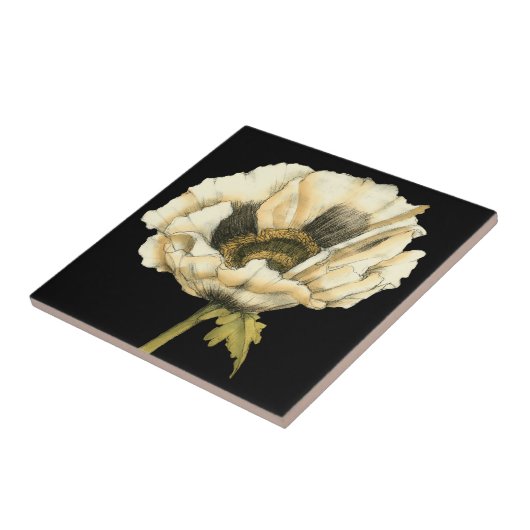 Carreau Fleur de pavot à crème sur Arrière - plan noir (Côté)