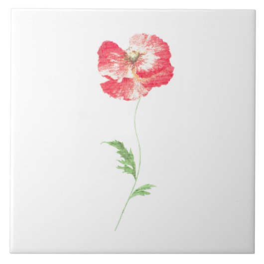 Carreau Fleur de pavot sauvage (Devant)