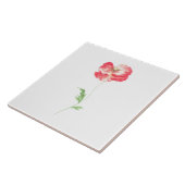 Carreau Fleur de pavot sauvage (Côté)