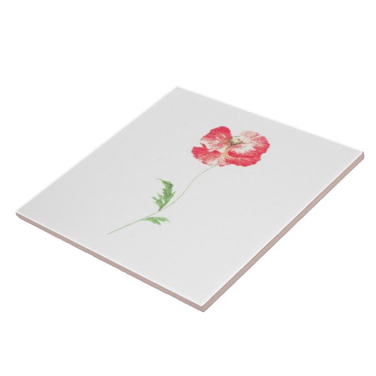 Carreau Fleur de pavot sauvage (Côté)