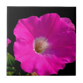 Carreau fleur de pétunia rose (Devant)