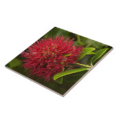 Carreau Fleur de Pohutukawa, Dunedin (Côté)