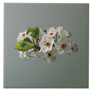 Carreau Fleur de poires blanches