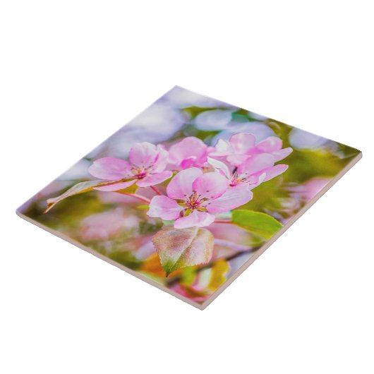 Carreau Fleur de pomme rose (Côté)