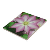 Carreau Fleur de printemps Clematis rose et blanc (Côté)
