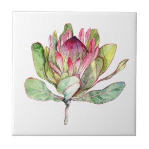 Carreau Fleur de Protea