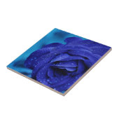 Carreau Fleur de rose de bleu (Côté)