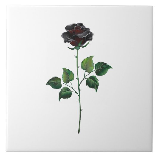 Carreau Fleur de rose noire (Devant)