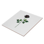 Carreau Fleur de rose noire (Côté)