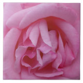 Carreau Fleur de rose rose (Devant)