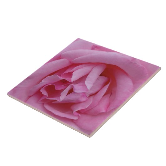 Carreau Fleur de rose rose (Côté)