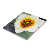 Carreau Fleur de tulipe (Côté)