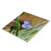 Carreau Fleur de verdure (Côté)