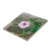 Carreau Fleur D'Épinards Dans Le Barrage (Côté)