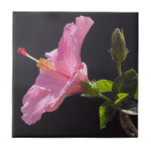Carreau Fleur d'Hibiscus de Profil (Devant)