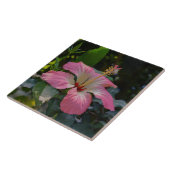 Carreau Fleur d'Hibiscus rose (Côté)
