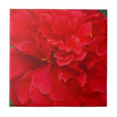 Carreau Fleur d'hibiscus rouge (Devant)