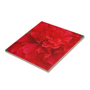 Carreau Fleur d'hibiscus rouge